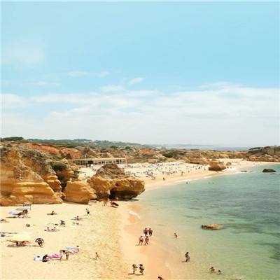 AG官方平台下载地址手机app下载